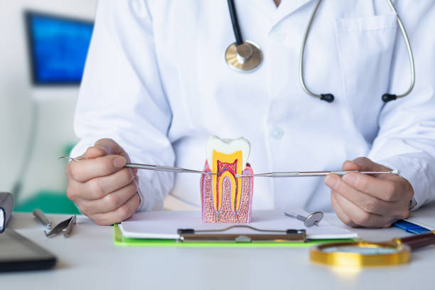 Best Emergency Dental Care for Abscessed Tooth in Rosemont, PA